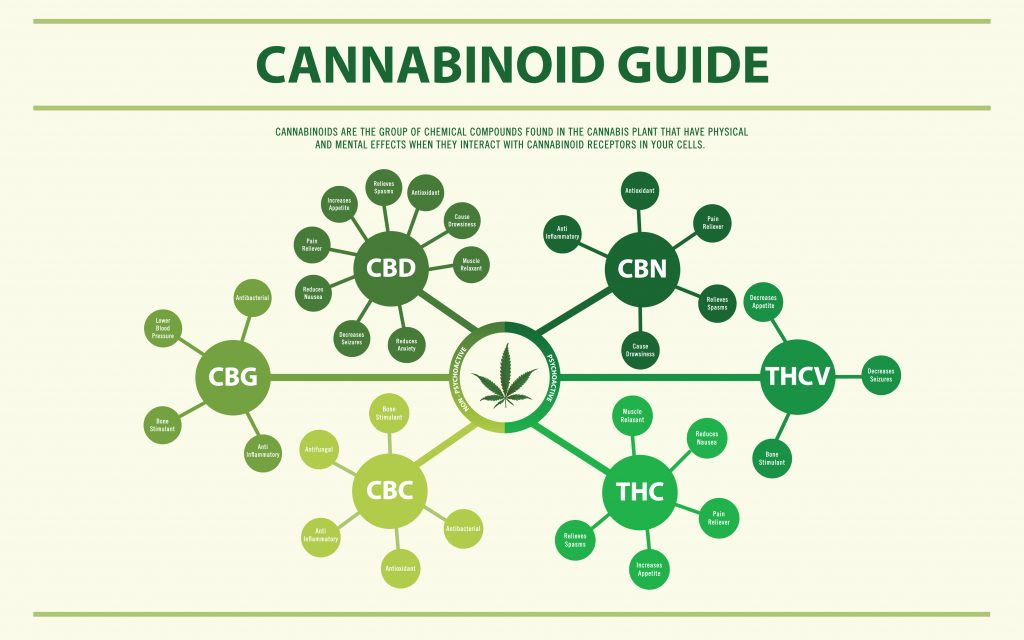 This image explains the possible benefits a few of the Cannabinoids found in the hemp plant may produce.